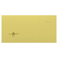 Clipsal Solis T Series 1 Gang Switch Brushed Brass