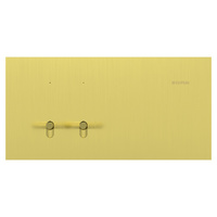 Clipsal Solis T Series 2 Gang Switch Brushed Brass