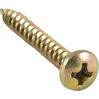 6g x 50mm Pan Head Needle Point Screws