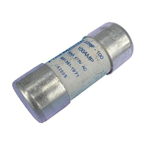 100A Service Fuse 22x58MM