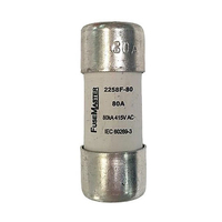 80A Service Fuse 22x58MM