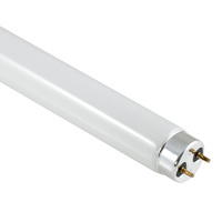 18W 2ft T8 Fluorescent Tube Daylight 6500k