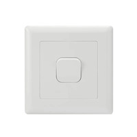 Tesla 1 Gang Switch Large Dolly (Large Plate)